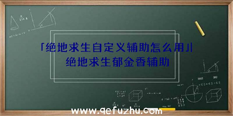 「绝地求生自定义辅助怎么用」|绝地求生郁金香辅助